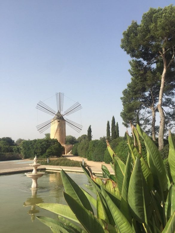 ConceptMallorca 2018