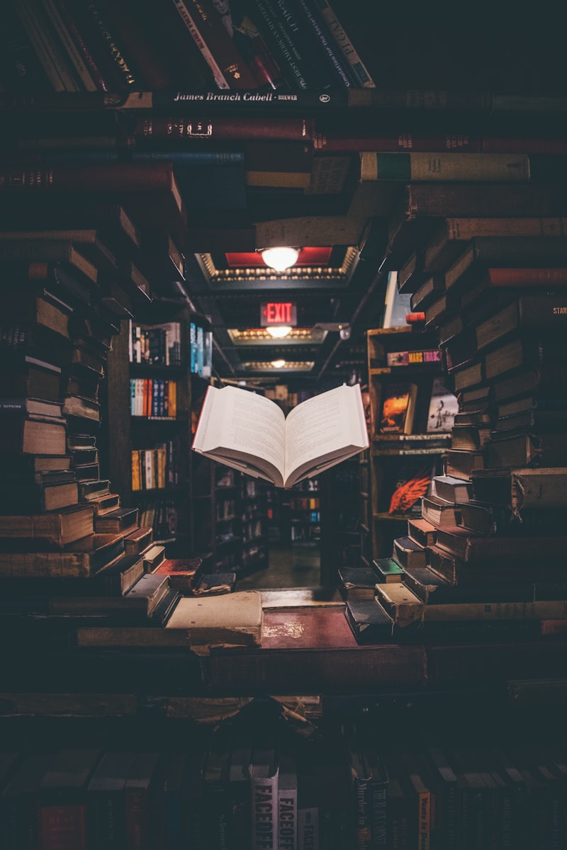 Aufgeschlagenes Buch