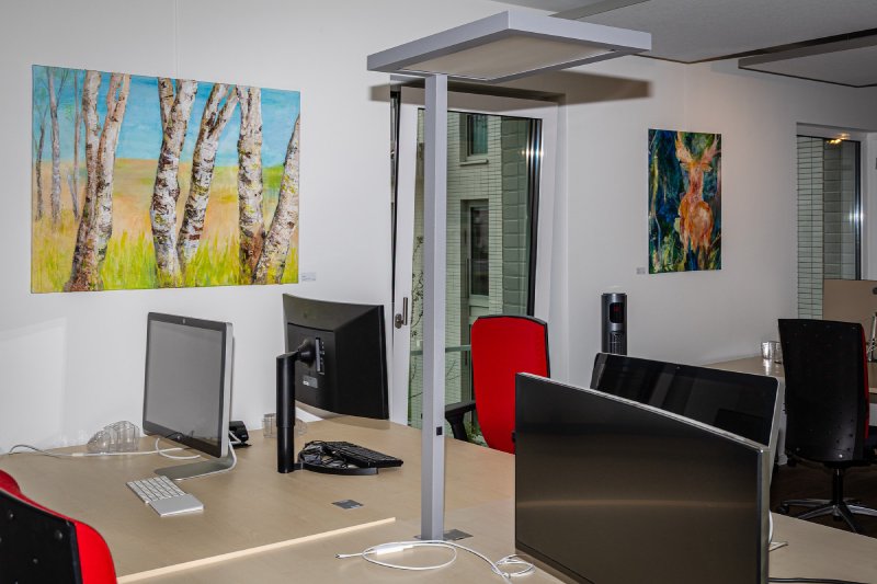Werke von Nicole Siegmund in den Büroräumen von ConceptPeople